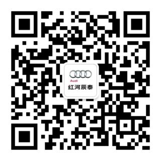 红河辰泰店二维码